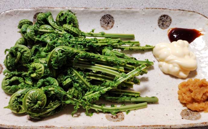 もはや「野菜級に美味しい野草」3選　渓流釣りついでにゲットしよう！