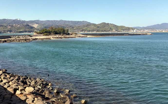 掘り跡が目立つ干潟で「残りポイント」発見！　松島漁場での潮干狩りで良型アサリ確保【愛知】