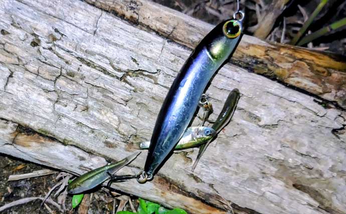 無限『ハク』地獄に大苦戦！ リバーシーバスゲームで60cm級本命手中【千葉】