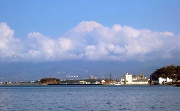 沼津沖ボート釣りで念願のシロアマダイを手中！【静岡】高めのタナ設定が奏功
