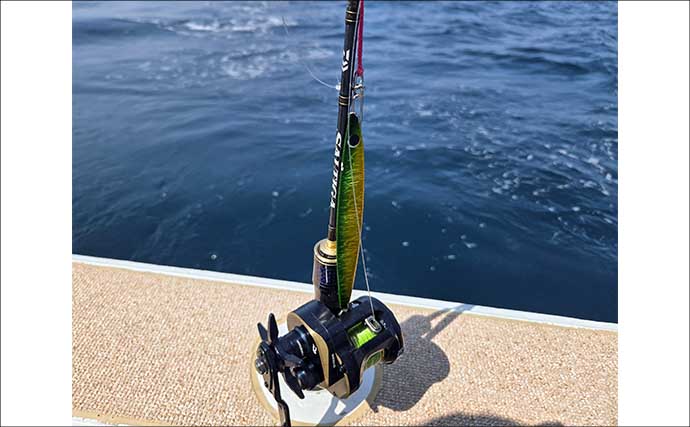 「寒ブリ並みに脂ノリノリ！」若狭湾ジギングでブリが連発【あみや渡船・JIG‐BOY】