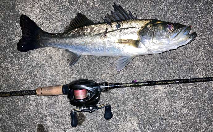 霞ヶ浦ふ頭でのクロダイプラッギングで本命クロダイにシーバス浮上【三重】