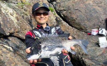 「磯には3タイプのクロダイがいる？」 春の磯フカセ釣りでクロダイを攻略…