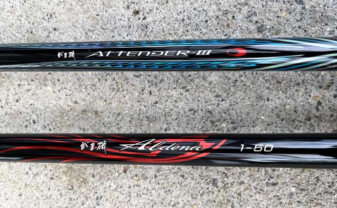 「磯には3タイプのクロダイがいる？」 春の磯フカセ釣りでクロダイを攻略しよう