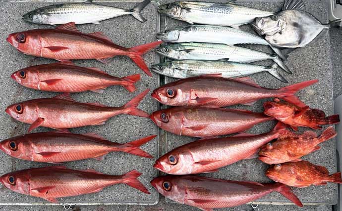 「乗っ込みの大型マダイ浮上！」タイラバで数型ともに狙い目【沖のルアー釣果速報12選・三重】