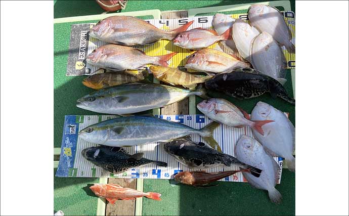 「乗っ込みの大型マダイ浮上！」タイラバで数型ともに狙い目【沖のルアー釣果速報12選・三重】