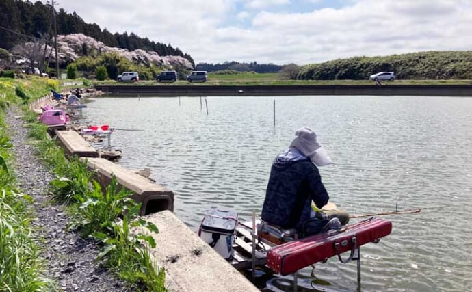今週のヘラブナ「ピックアップ」釣り場202【茨城・粟原の溜池】
