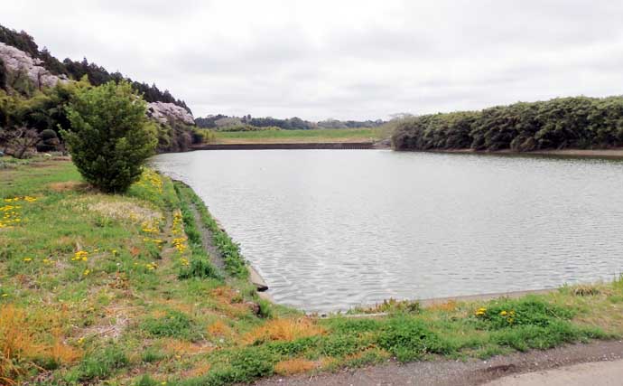 今週のヘラブナ「ピックアップ」釣り場202【茨城・粟原の溜池】