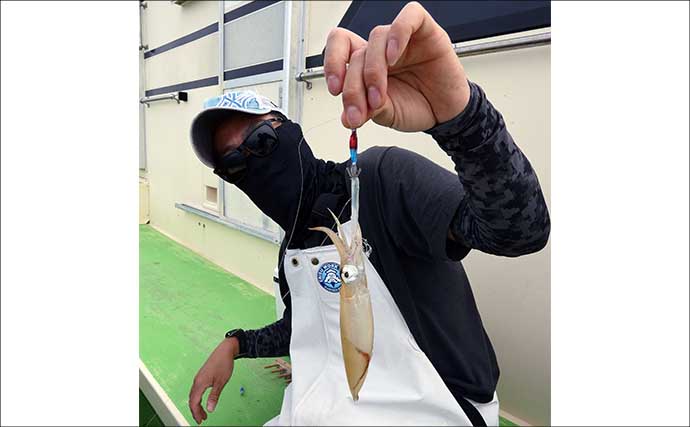 相模湾マルイカ釣りで本命トップ17尾【まごうの丸・神奈川】ムギ・ヤリイカ交じる