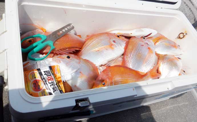 沖五目釣りでタカバ（マハタ）に沖アラカブを好捕【第二大福丸・福岡】