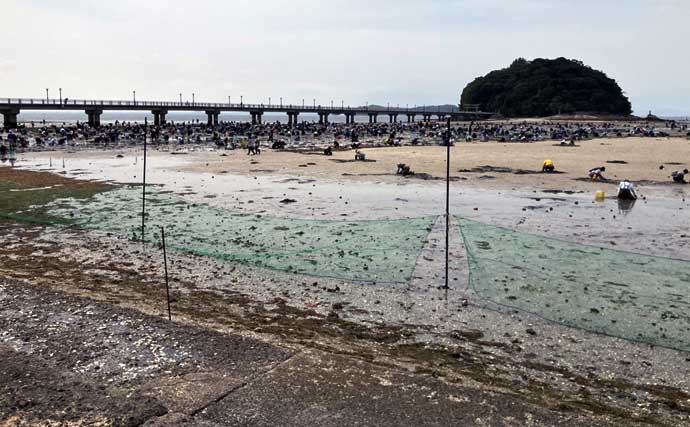 解禁初日の『竹島海岸』で8cm級良型ハマグリを発見【愛知】1時間で規定量5kgに到達！