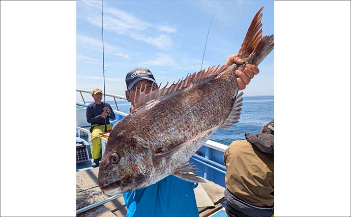 活エビでのテンヤ釣りで6kg超え大型マダイ浮上！　関東エリアの【船釣り特選釣果8選】