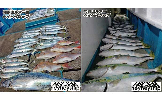 明石沖タイラバで良型マダイがコンスタントにヒット！ 関西エリアの【船釣り特選釣果7選】