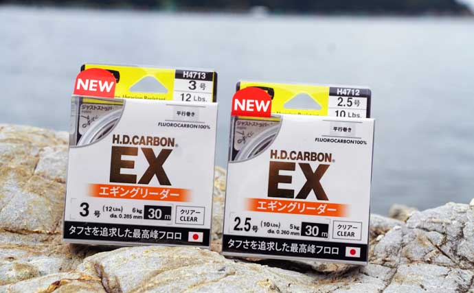 沖磯で春の大型アオリイカを狙い撃つ！【宮崎】良型アオリにコウイカ連打の秘訣は最新エギとランガンにあり