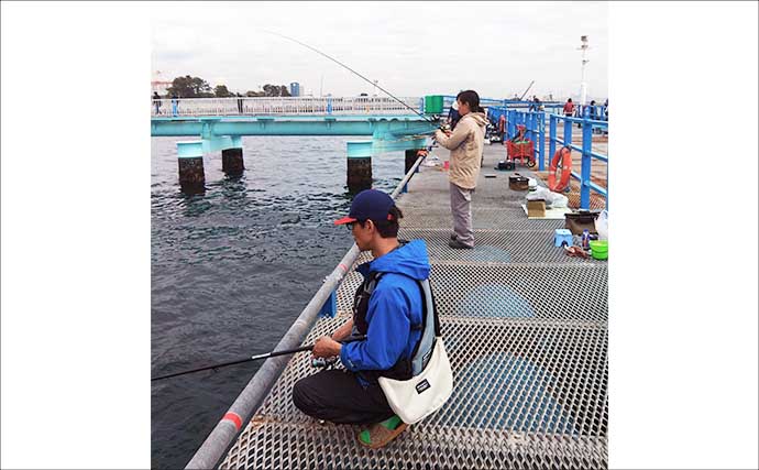 東京湾の人気釣り施設「本牧海づり施設」「大黒海づり施設」をハシゴしてみた