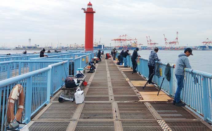 東京湾の人気釣り施設「本牧海づり施設」「大黒海づり施設」をハシゴしてみた