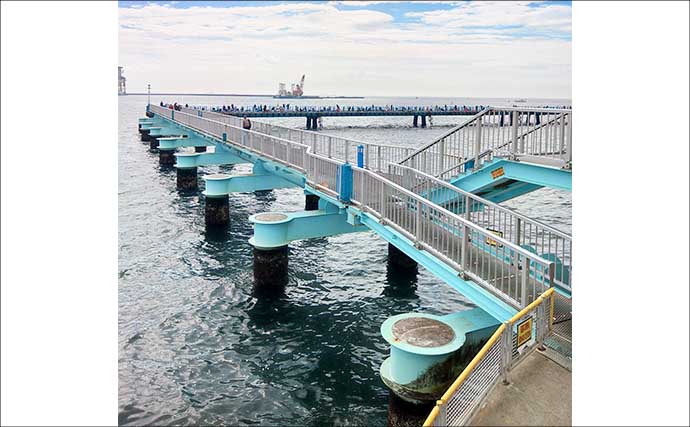 東京湾の人気釣り施設「本牧海づり施設」「大黒海づり施設」をハシゴしてみた
