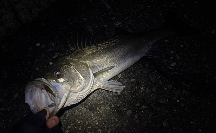 「春になれば魚が釣れる」という幻想と現実　4〜5月は意外とシビア！と覚悟せよ