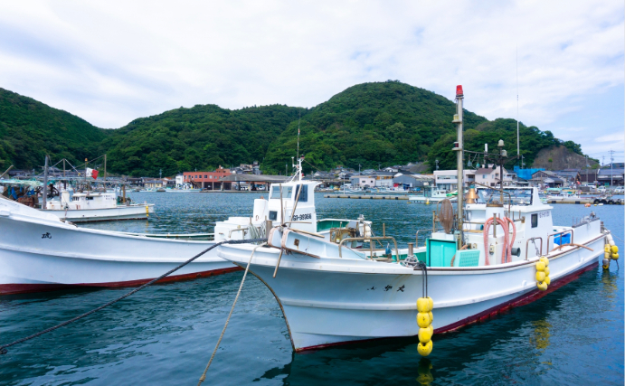 「輸入ものすら価格高騰へ」 いよいよ大衆魚でなくなる『サバ』の話