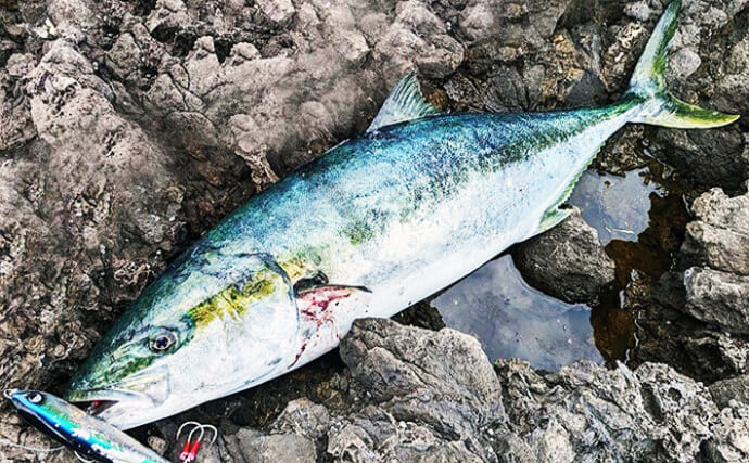 「釣り遠征するなら急がば回れ！」 長時間の車移動で気を付ける事4選