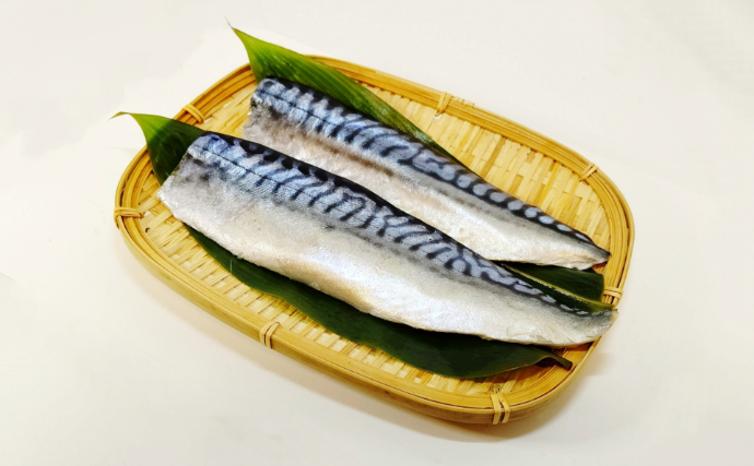 「輸入ものすら価格高騰へ」 いよいよ大衆魚でなくなる『サバ』の話