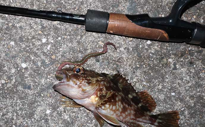 「ジグヘッド＋エサ」は波止釣り最強メソッド！ マイクロテンヤのボトムゲームを解説