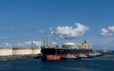 ホルムズ海峡封鎖で日本の漁業が大ピンチ？ 「稚魚」が輸入できず養殖に影…