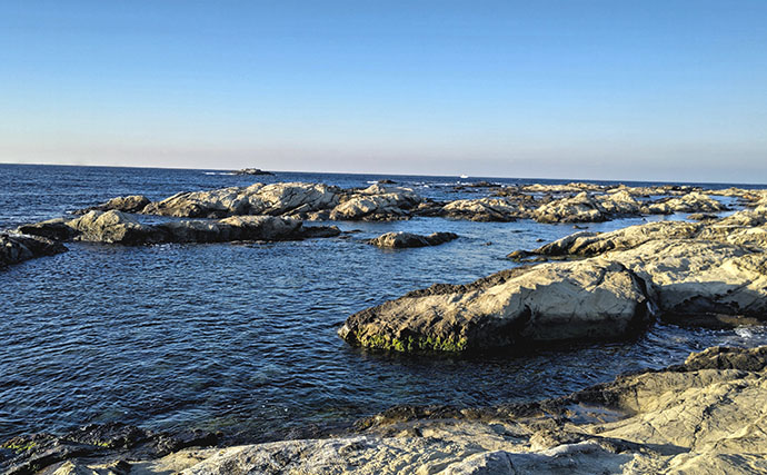 伊戸の地磯でのフカセ釣りで50cm級カンダイをキャッチ！【南房・千葉】