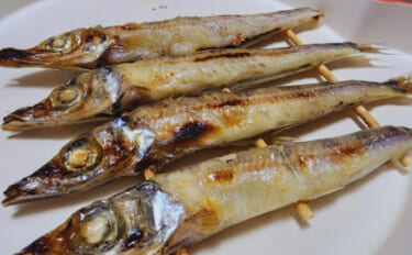 隠れた名物「焼きぎす」はみんなの知ってる「キス（シロギス）」ではない？