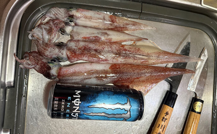 アジングタックルひとつでアジング＆エギング成立！　両本命をキャッチ