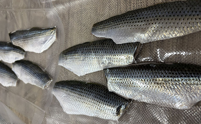 「コノシロが掬い放題の宿？」海まで徒歩0分のゲストハウス『HASHINSHITA』に泊まってみた