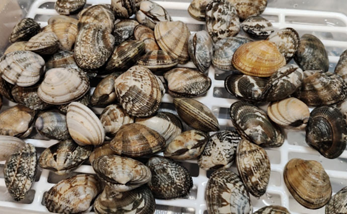 「釣り人的思考」でアサリ大量確保に成功！ 秘訣はアサリと人の考えを読むこと？