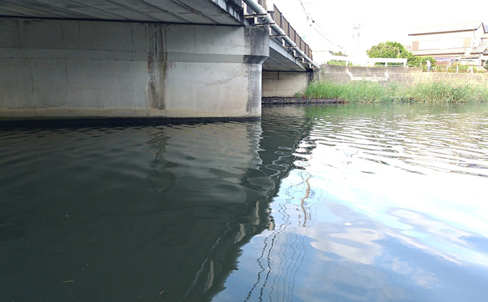 「春一番」はシーバスフィッシングの大敵？　強風下でも釣果を上げるコツを解説