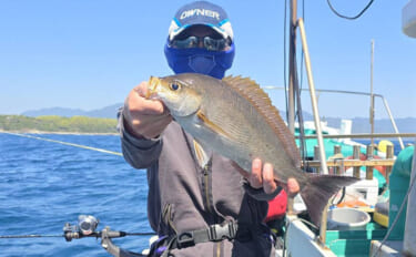 42cmジャンボイサギ登場！【良丸・那智勝浦】天びんカゴフカセ釣りで旬…