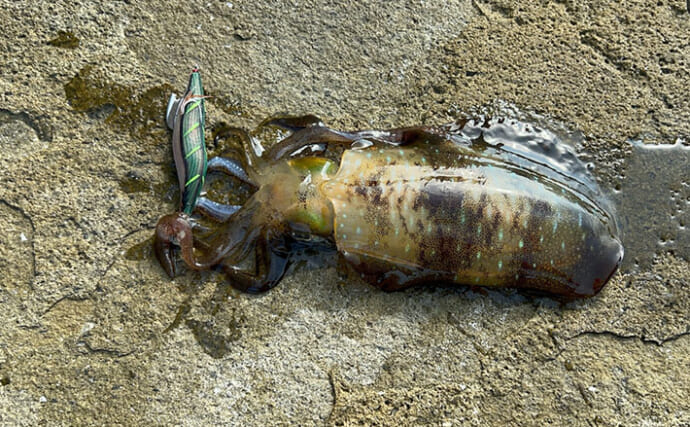 リーダーの長さの新基準は「肩幅」で決まり？　ショートリーダーのメリットを紹介