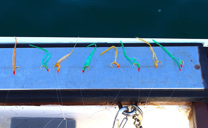 チョクリ仕掛けのマダイ釣りが開幕！ 全長8m8本針の仕掛けで35cm級マダイ3匹【兵庫】