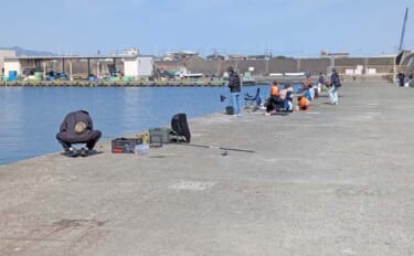 釣り初心者が初めての釣りを楽しむコツ3選　不安を解消して安心にデビュー…