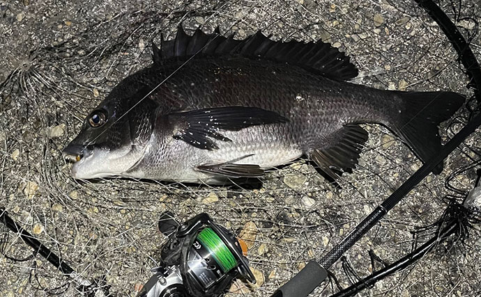 ハイプレッシャーポイントでチヌ（クロダイ）を釣る方法　フィネス化が有効