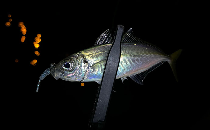 「春になれば魚が釣れる」という幻想と現実　4〜5月は意外とシビア！と覚悟せよ