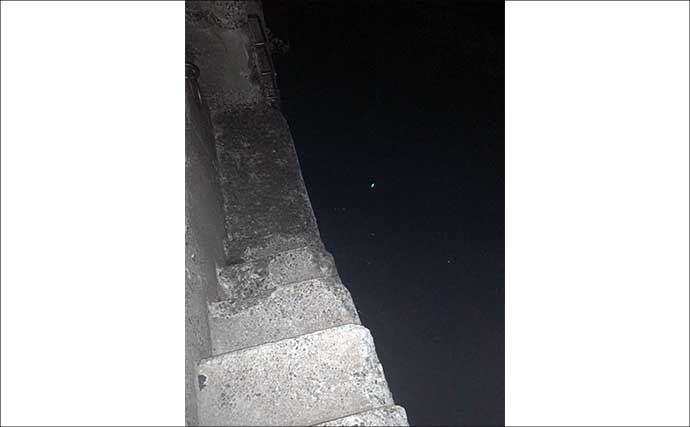 釣り初心者が初めての釣りを楽しむコツ3選　不安を解消して安心にデビューしよう