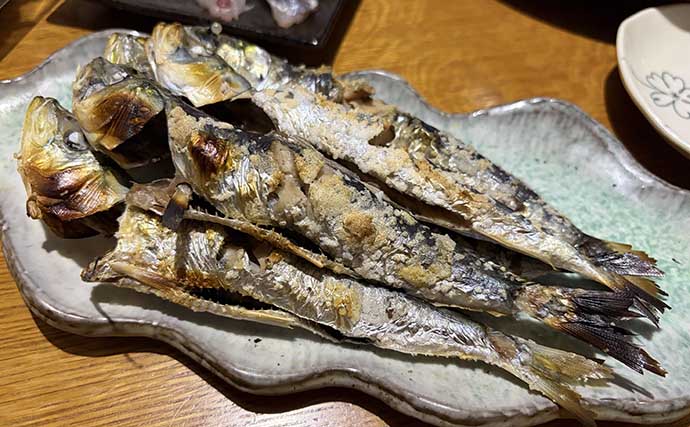 「脂ノリノリのイワシ接岸中」サビキ釣りでマイワシが爆釣！【小名浜・福島】