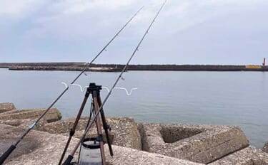 海釣り初心者にオススメは「サビキ＆ちょい投げ釣り」 必要な道具と購入時…