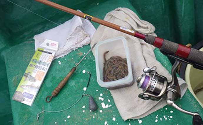 「敵はアカクラゲ？」東京湾船シロギス釣りで良型主体に37匹手中【たかはし遊船】