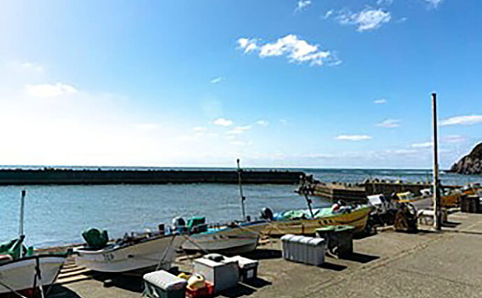 「漁師さんの邪魔はしない！」 海釣り初心者が漁港で釣りをする際の3つの注意点
