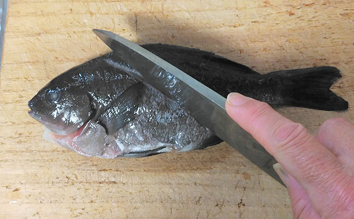釣った魚で作る「疲労回復」レシピ：小グロの黒糖焼き絞め　メバルでもOK