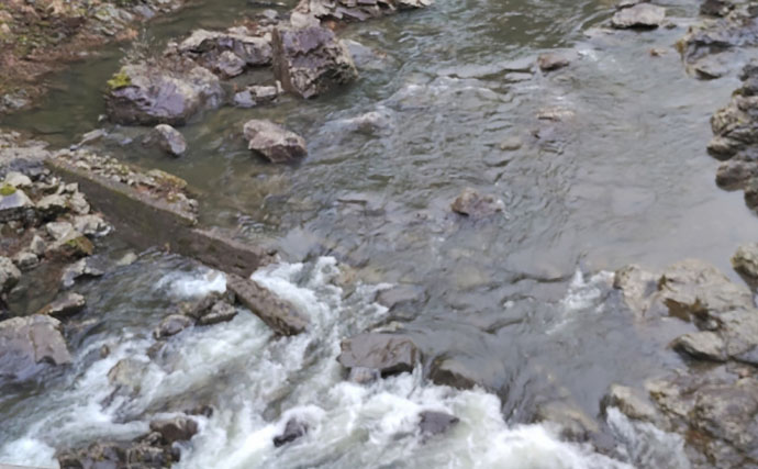 「アマゴの聖地で爆釣を満喫！」天川村での渓流エサ釣りで本命34匹手中