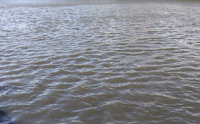 「春一番」はシーバスフィッシングの大敵？　強風下でも釣果を上げるコツを解説