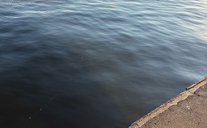 「春になればメバルは簡単に釣れる」は嘘？　メバリングで60cm級シーバスのみ