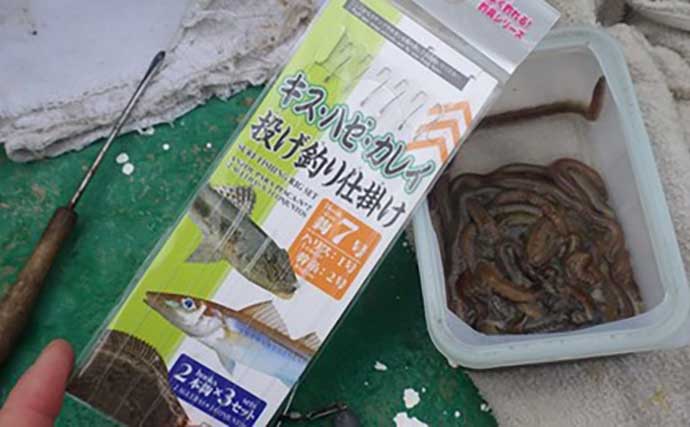 「敵はアカクラゲ？」東京湾船シロギス釣りで良型主体に37匹手中【たかはし遊船】