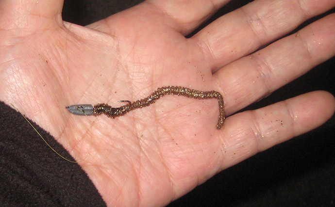 マイクロテンヤでの宙釣りでメバルにシーバスにカサゴ！【岡山】